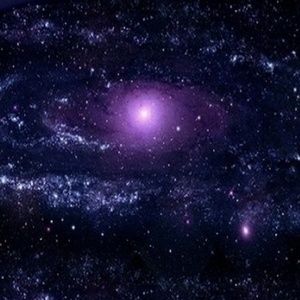 Meet your Posher, Lucy